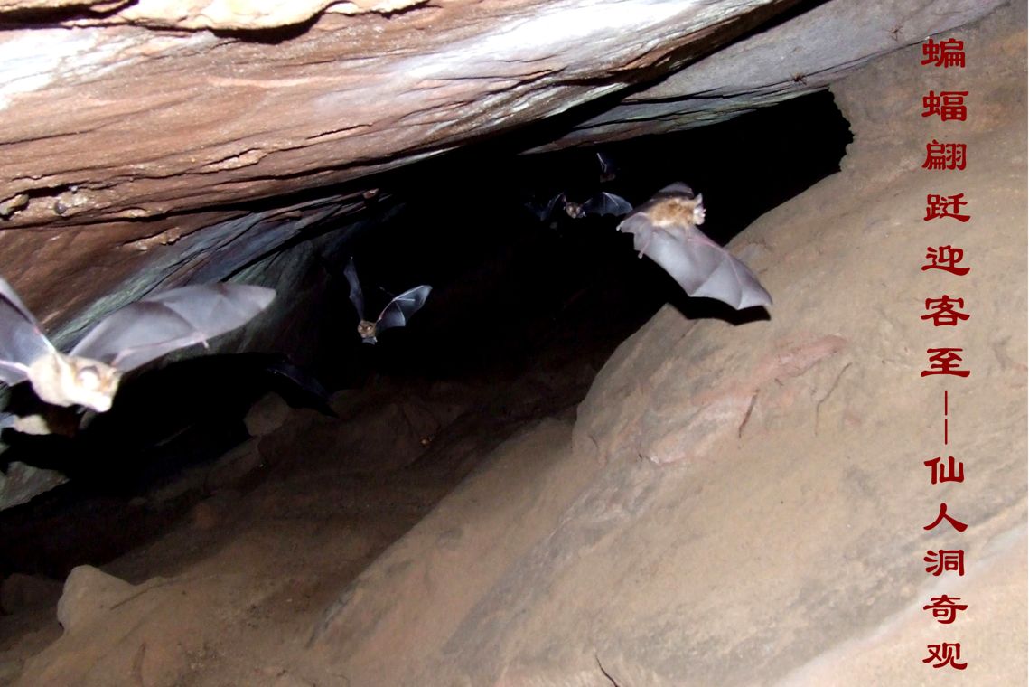 花甲山玩水,花甲山一日游