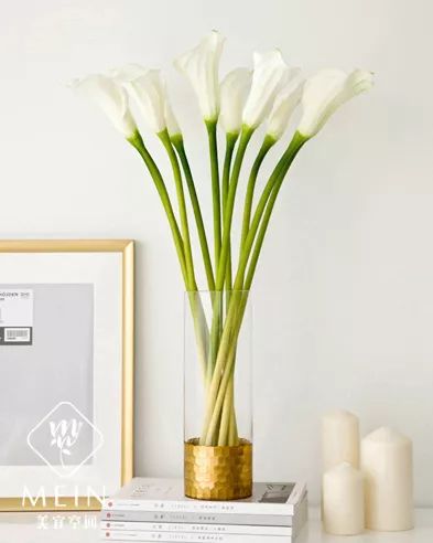 马蹄莲的种植方法,马蹄莲的种植指南