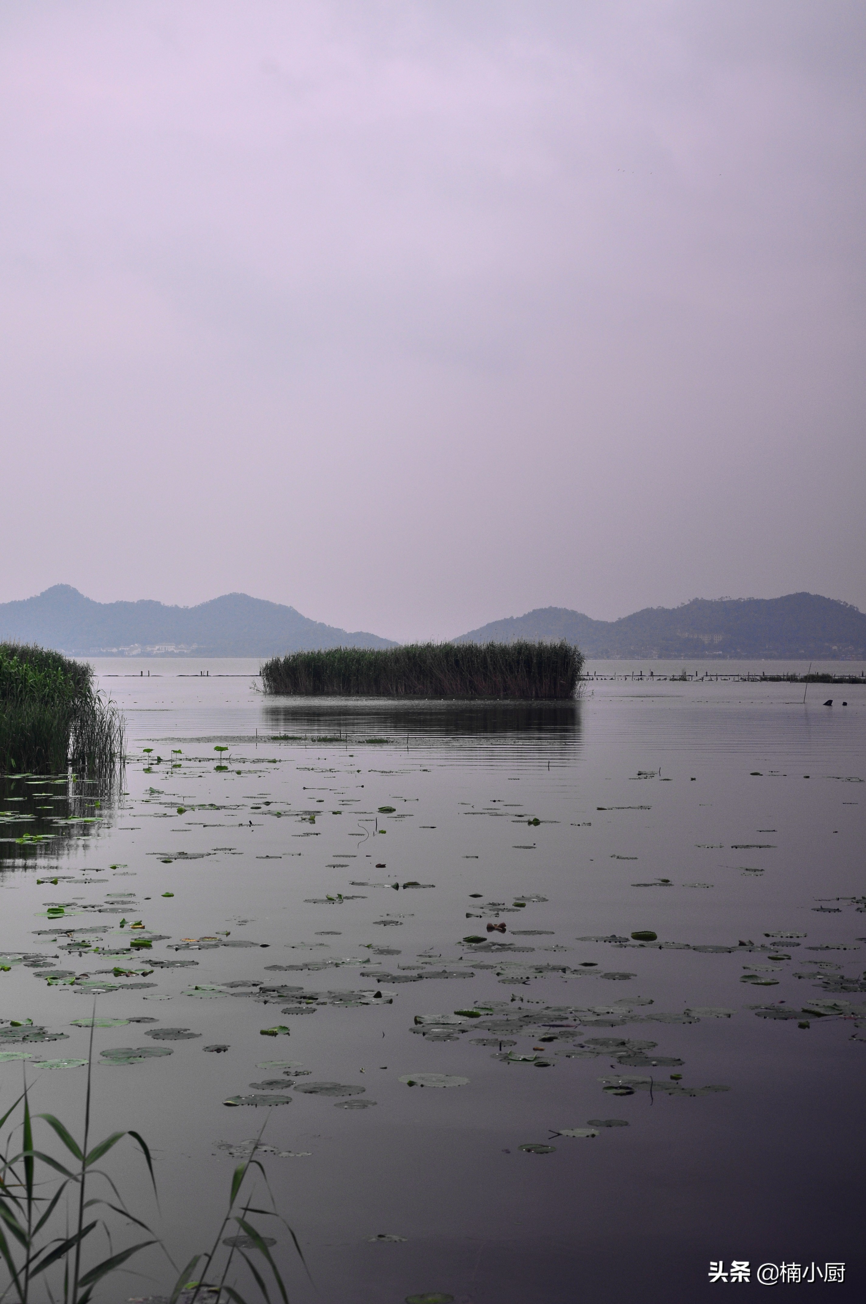 宁波旅游东钱湖,旅行宁波