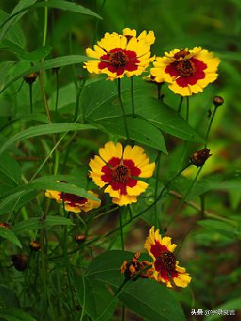 句句入骨的人生感悟个性签名,简短经典精辟走心的个性签名