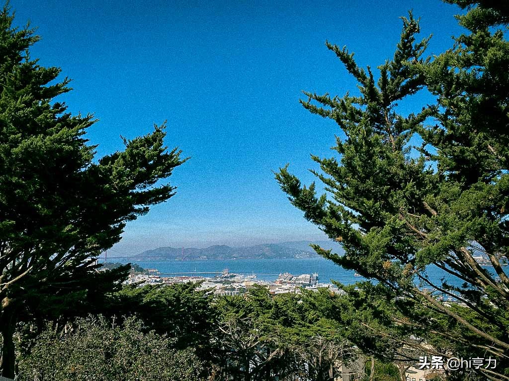 旧金山旅行指南,玩转旧金山