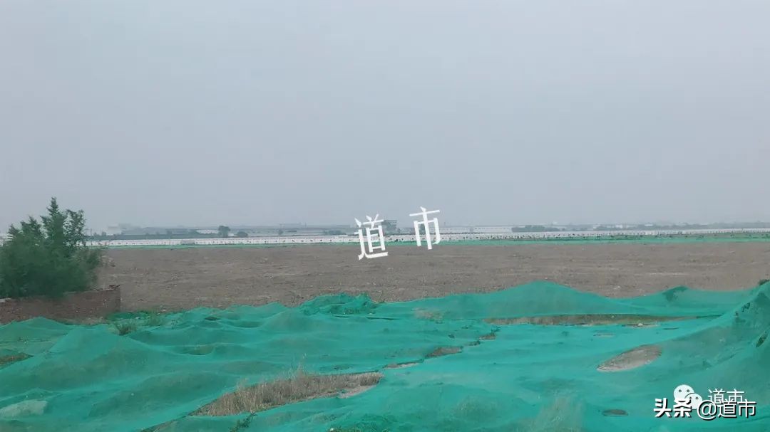 小淀，距离“踮起”脚尖还要多久？