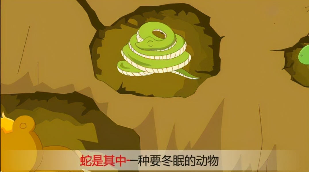 蛇是冬眠的动物还是不冬眠的,蛇为什么要冬眠的秘密