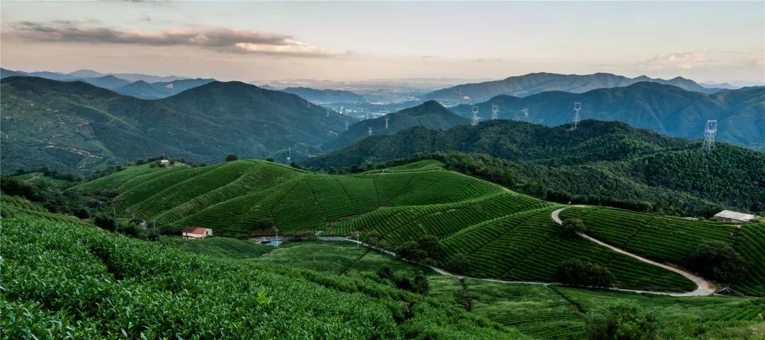 2021年度杭州市最美绿道,杭州最美绿道旅行