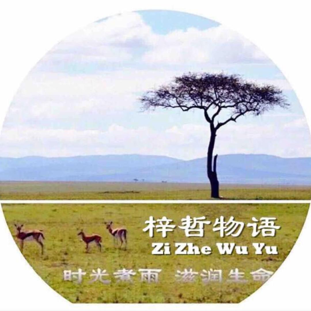 天道观感浅谈之二,天道观感最深度解析