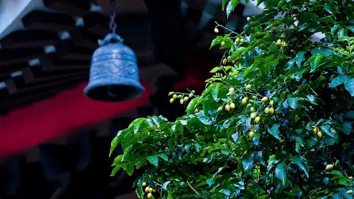 人死后去阴间的全过程、看醒了很多人