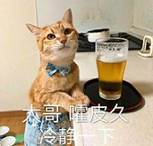 澶у悍鍐滀笟骞存姤,澶у悍鍐滀笟