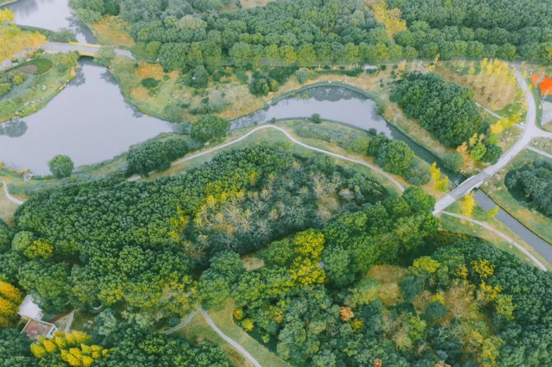 你一定没见过这样的新中式,东方绿舟特点
