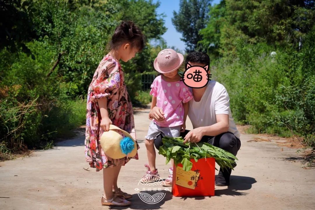 桃源溪谷哪里好玩,桃源溪谷一日游