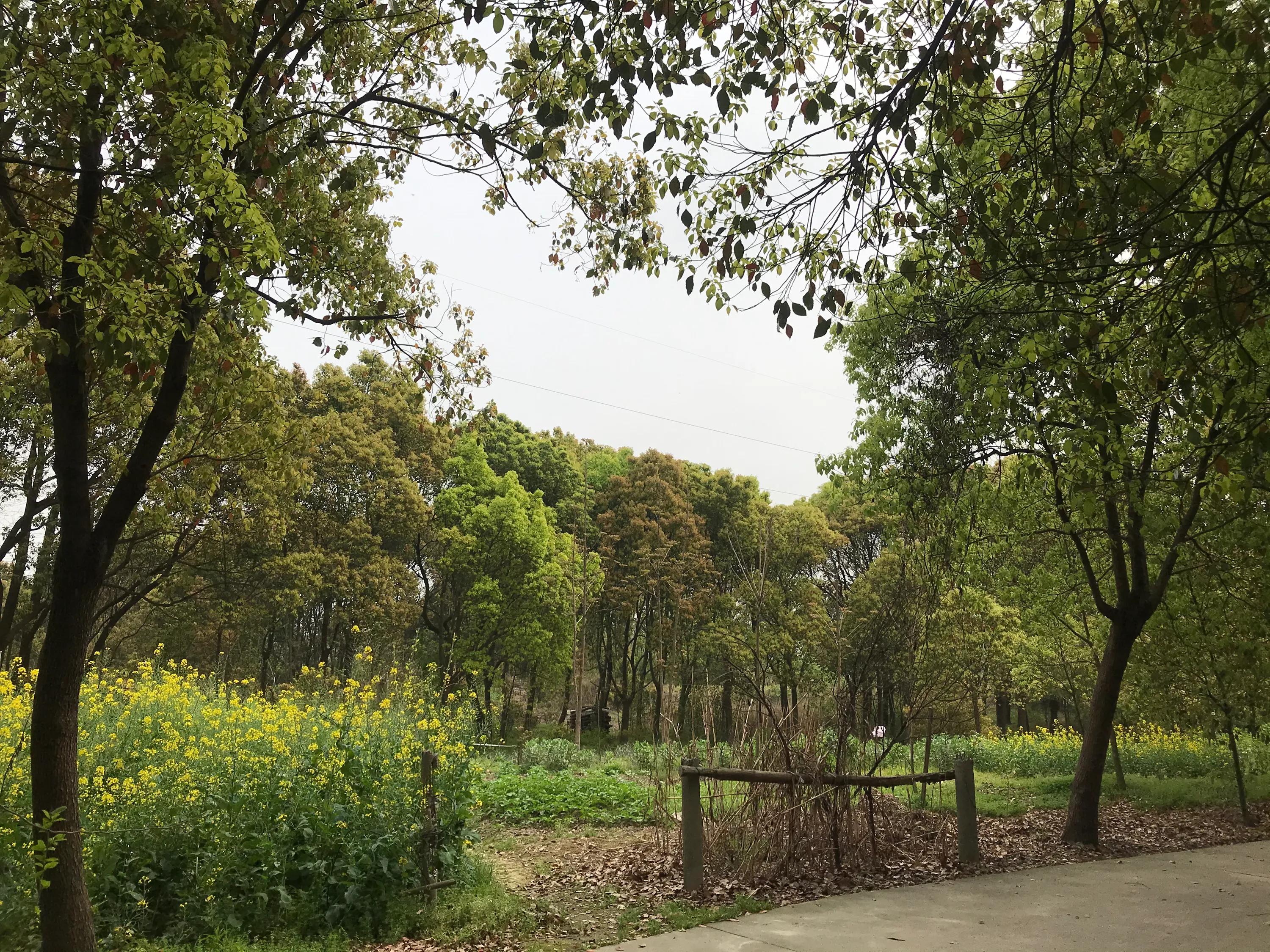 苏州吴江震泽八都,吴江区震泽八都贯桥社区