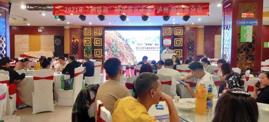 2021年“黔鄂湘”精品景区走进川渝旅游推介会丨泸州站
