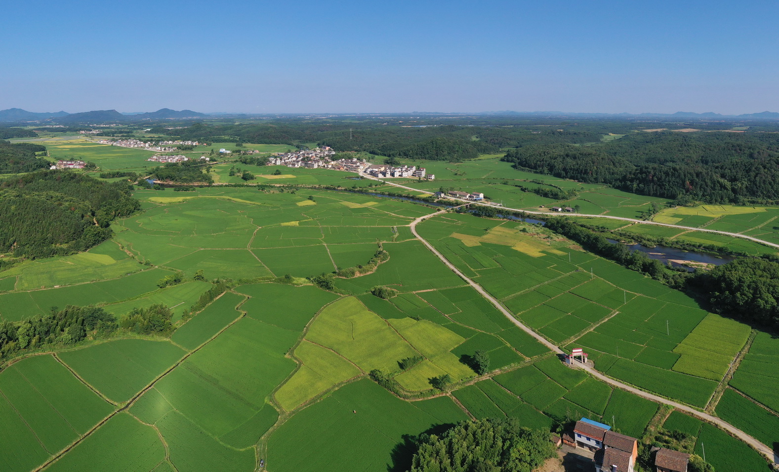 江西省山清水秀自然美景好地方,金溪镇山清水秀好风景
