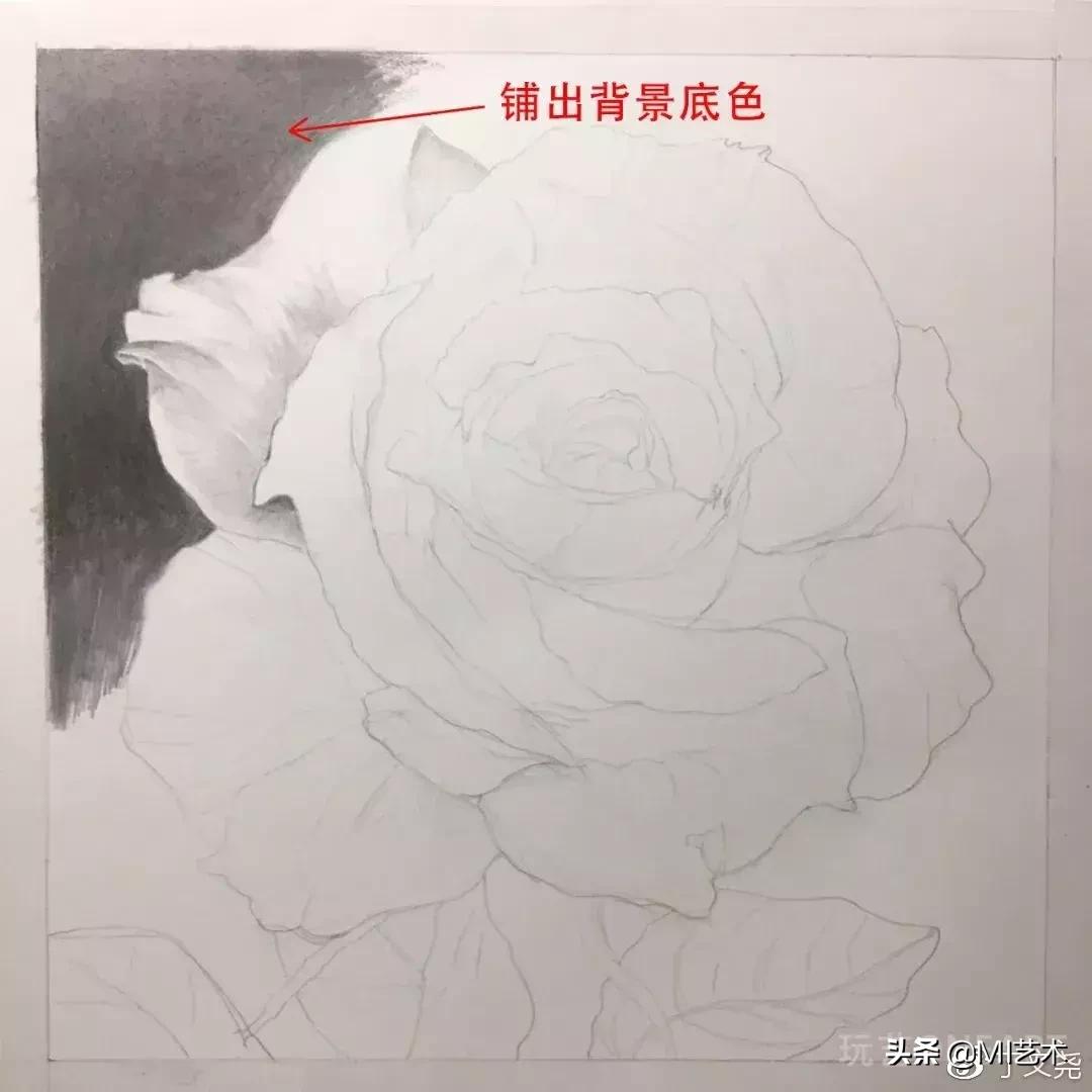 玫瑰花素描临摹高清图片,素描教程画花朵