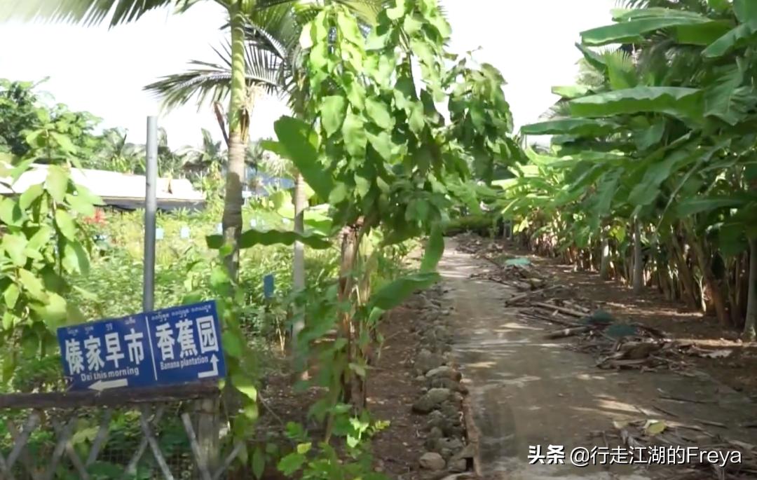 西双版纳傣族村寨赶集,西双版纳星期五赶集