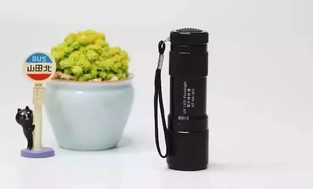 猫癣传染给人的症状,猫身上有猫癣怎么办