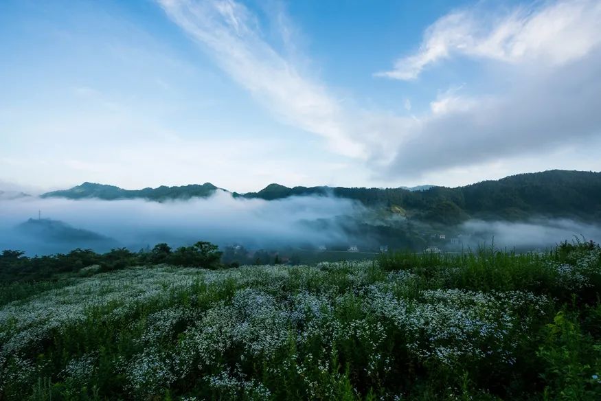 石柱康养大会,康养产业博览会石柱