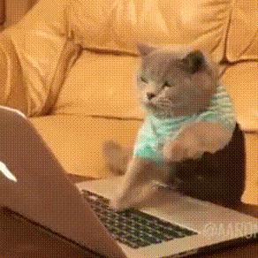 z世代成为最具消费力的一代,千禧一代z世代在关心什么