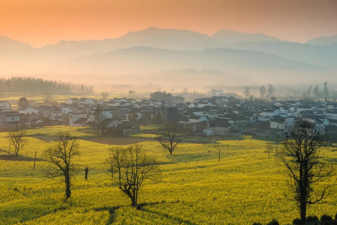 安徽春天美丽的视频,安徽美丽的春天