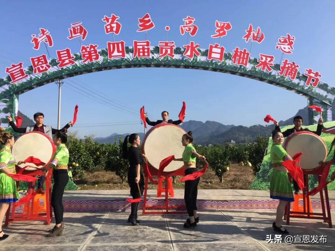 宣恩贡水柚直播间,宣恩贡水白柚苗