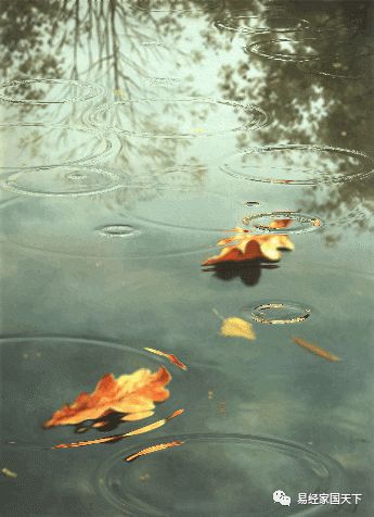 心若不动四大智慧,流传的四大智慧