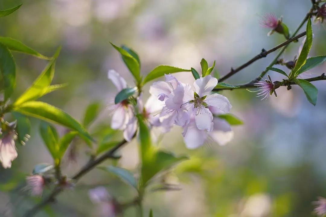 交作业啦！转接环大作战，战果展示第一章