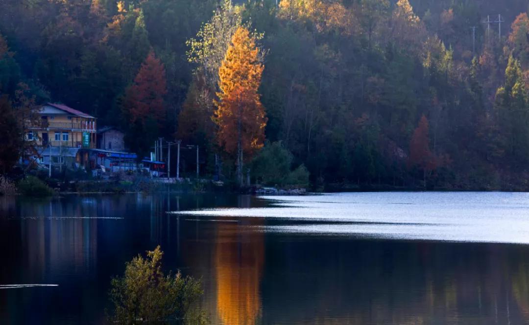 藏着最美秋景，石柱原始森林中的这块“明镜”美绝了！