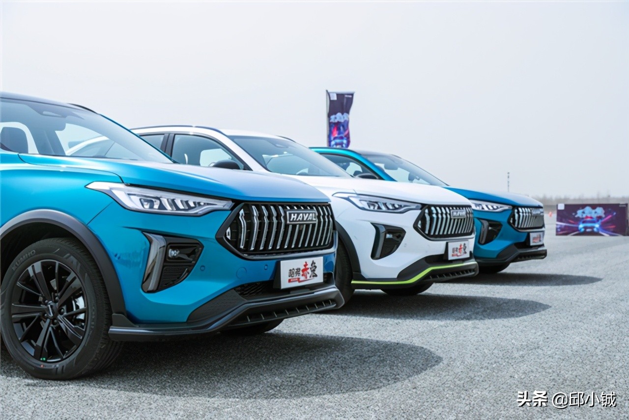 赤兔有啥区别,赤兔是哪个马种