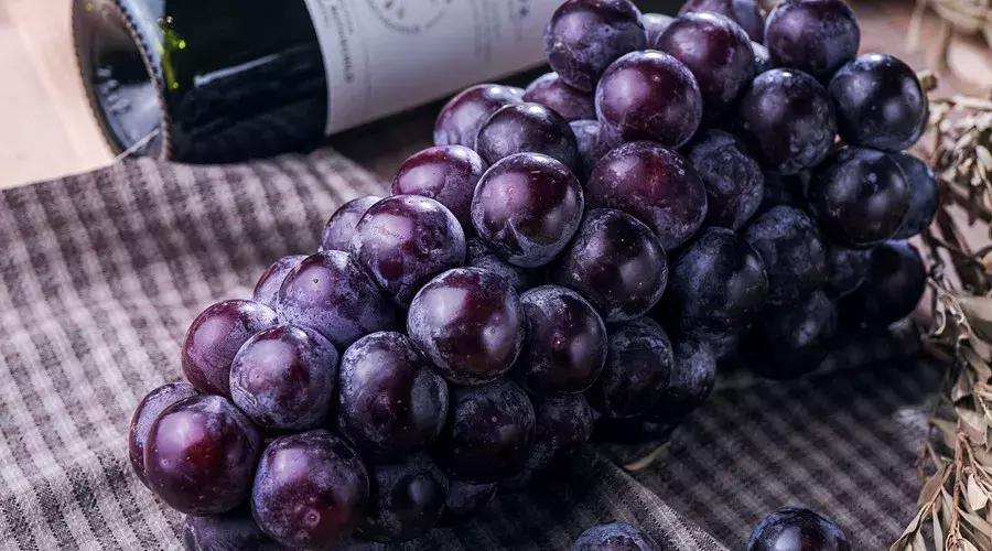 gobanana的意思是什么,banana是不是香蕉的意思