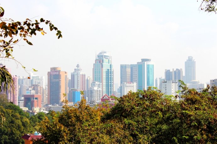 广东人对鸡情有独钟什么意思,为啥广东人喜欢吃鸡鸭鹅