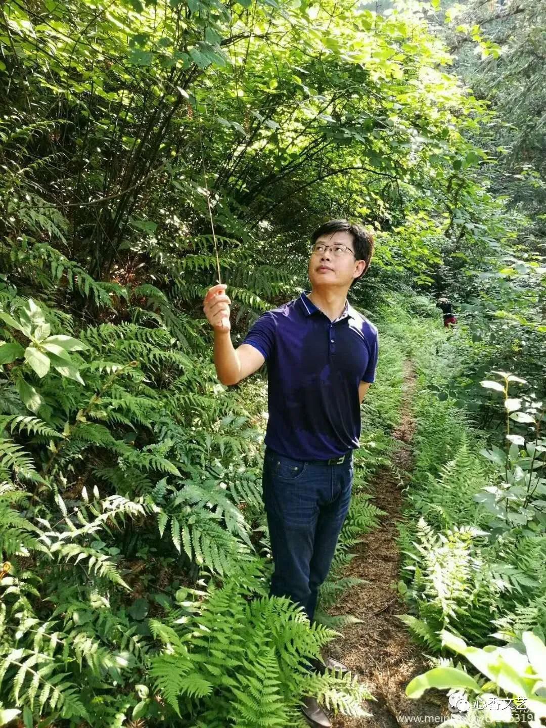 李福信《梅溪》心香文艺