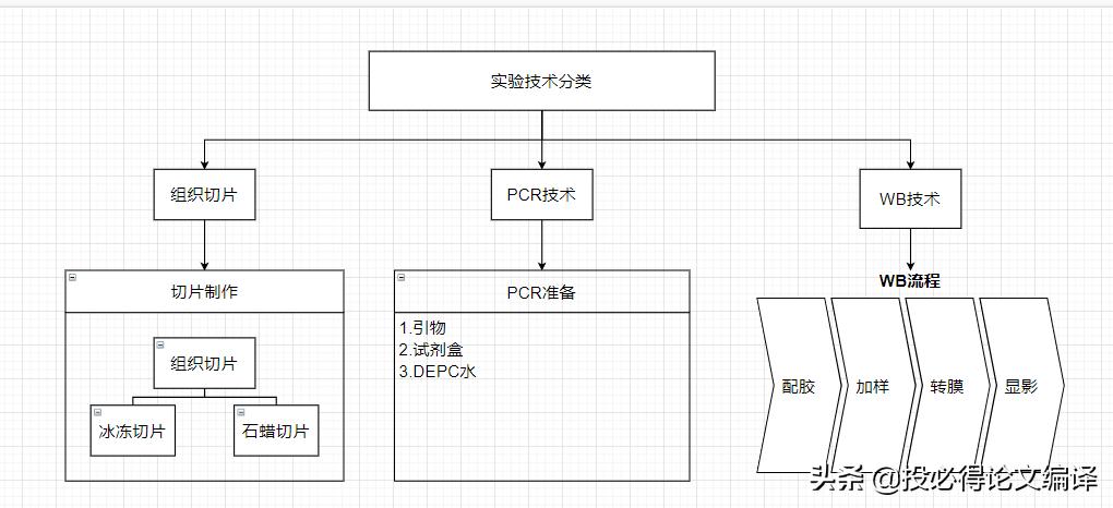流程图免费软件,免费的流程图用什么软件