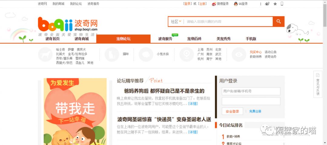 波奇网在宠物行业怎么样,波奇网上的宠物电商