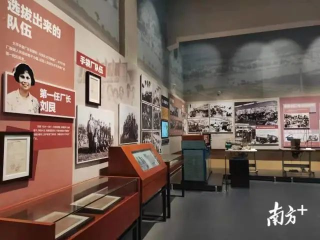 奋进粤港澳大湾区,奋进新征程筑梦大湾区