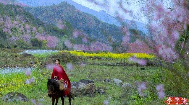 李子柒又出新视频,火爆国内外的网红李子柒