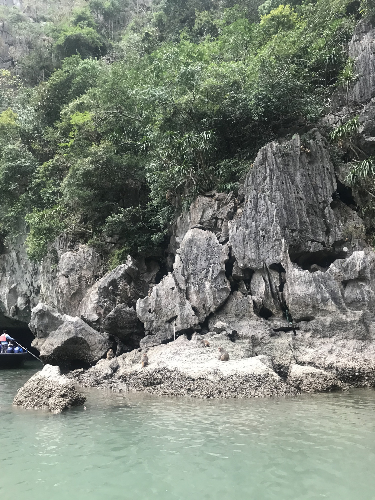 越南海岛旅行,行走在越南街道