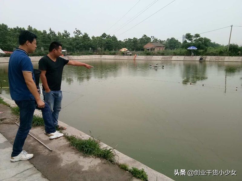 泥鳅养殖现在做什么最赚钱,网箱养殖泥鳅一亩利润