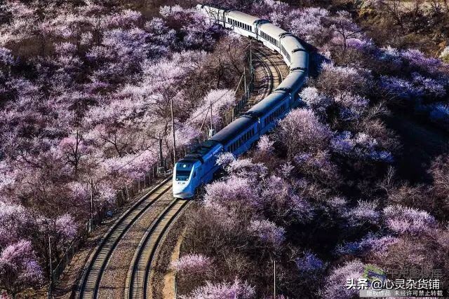 Thedooroftheworld世界之门