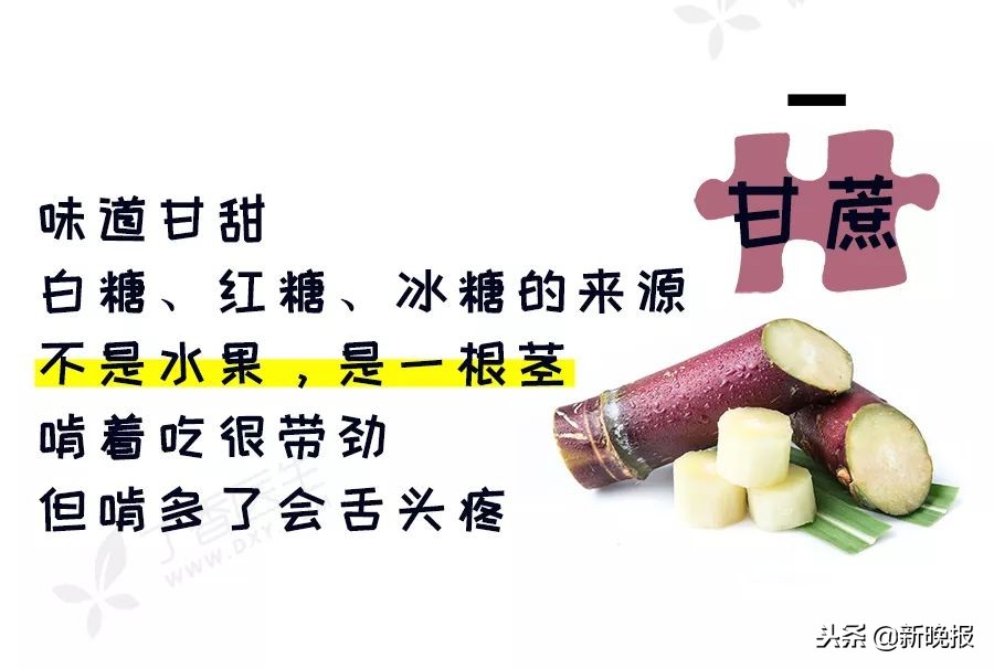 冬天最好吃的十种水果,冬天有什么好吃的水果推荐一下