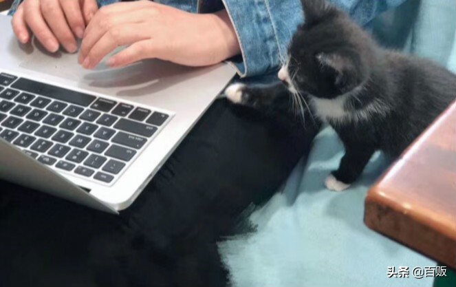 打造森系花房,闹市中的私家庭院花房