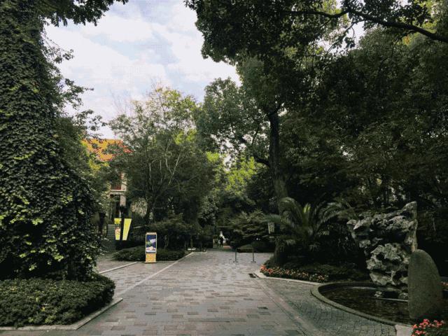 老上海的卢湾区,老上海人回忆卢湾区