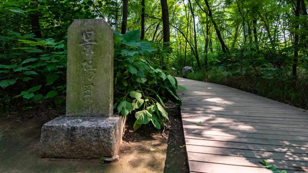 山东旅行不能错过的15个地方,山东出发向南自驾游最美线路推荐