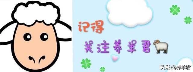 牛羊预混料哪种最好,牛羊预混料该怎么用