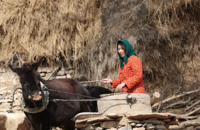 再见瓦尔特在线观看,再见瓦尔特完整版