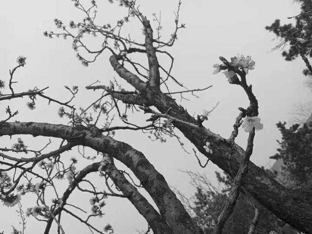 双十一值得购买的数码产品,数码产品双十一