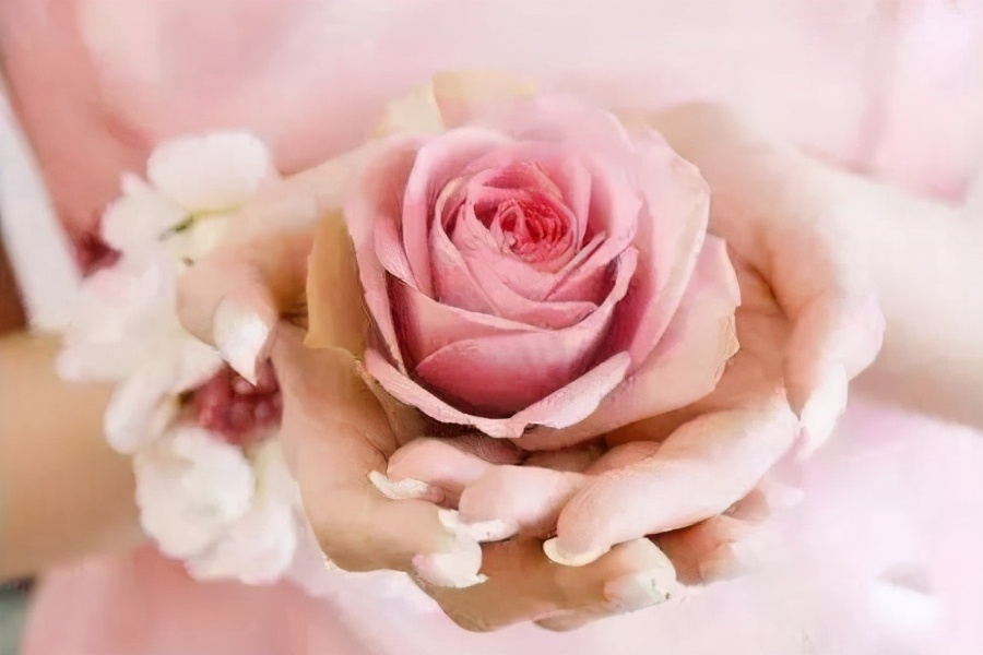 女人睡前保养技巧,女人该怎么内调保养