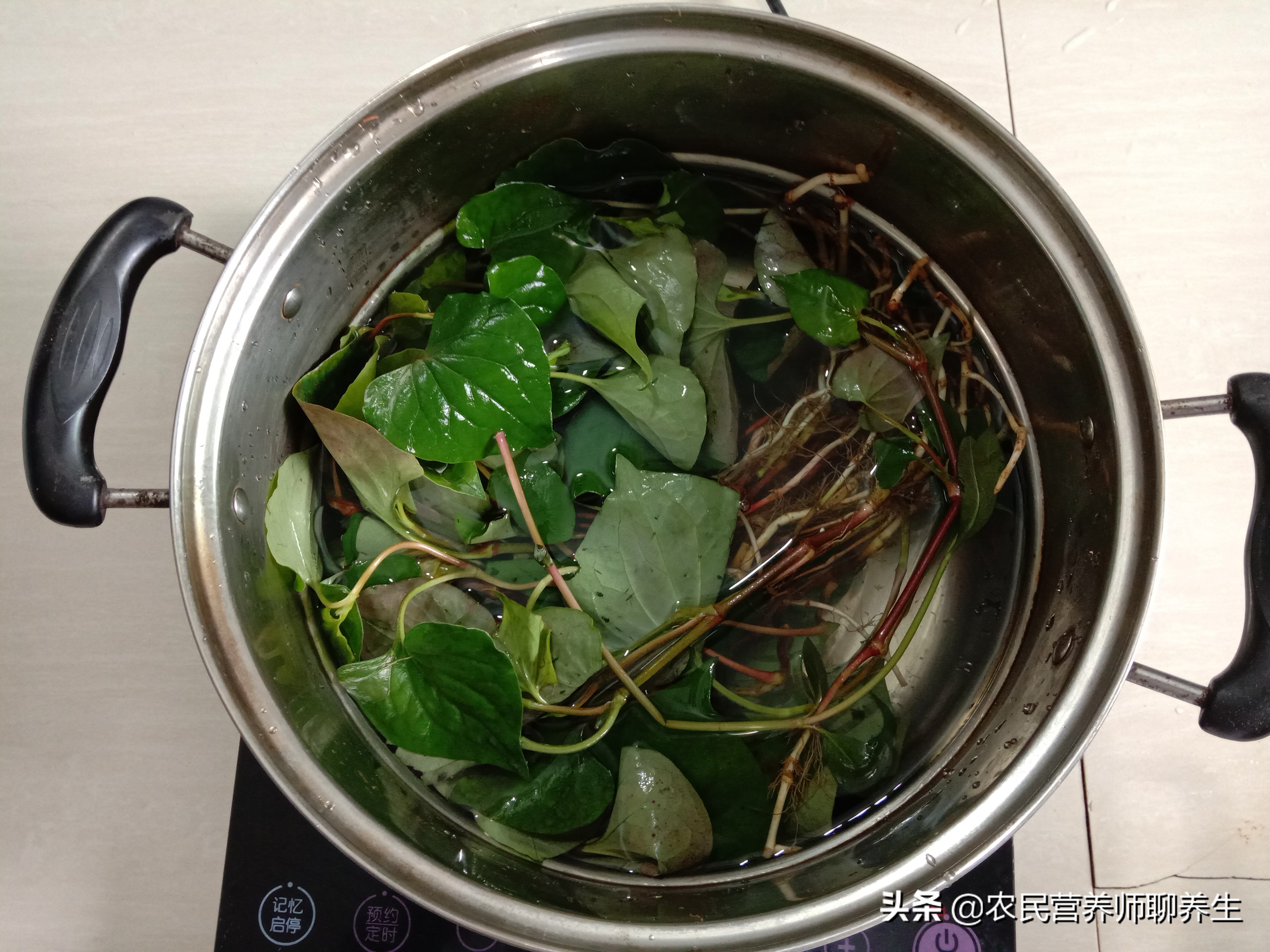 鱼腥草煮水洗澡能治湿疹吗,鱼腥草泡水洗澡可以给婴儿洗吗