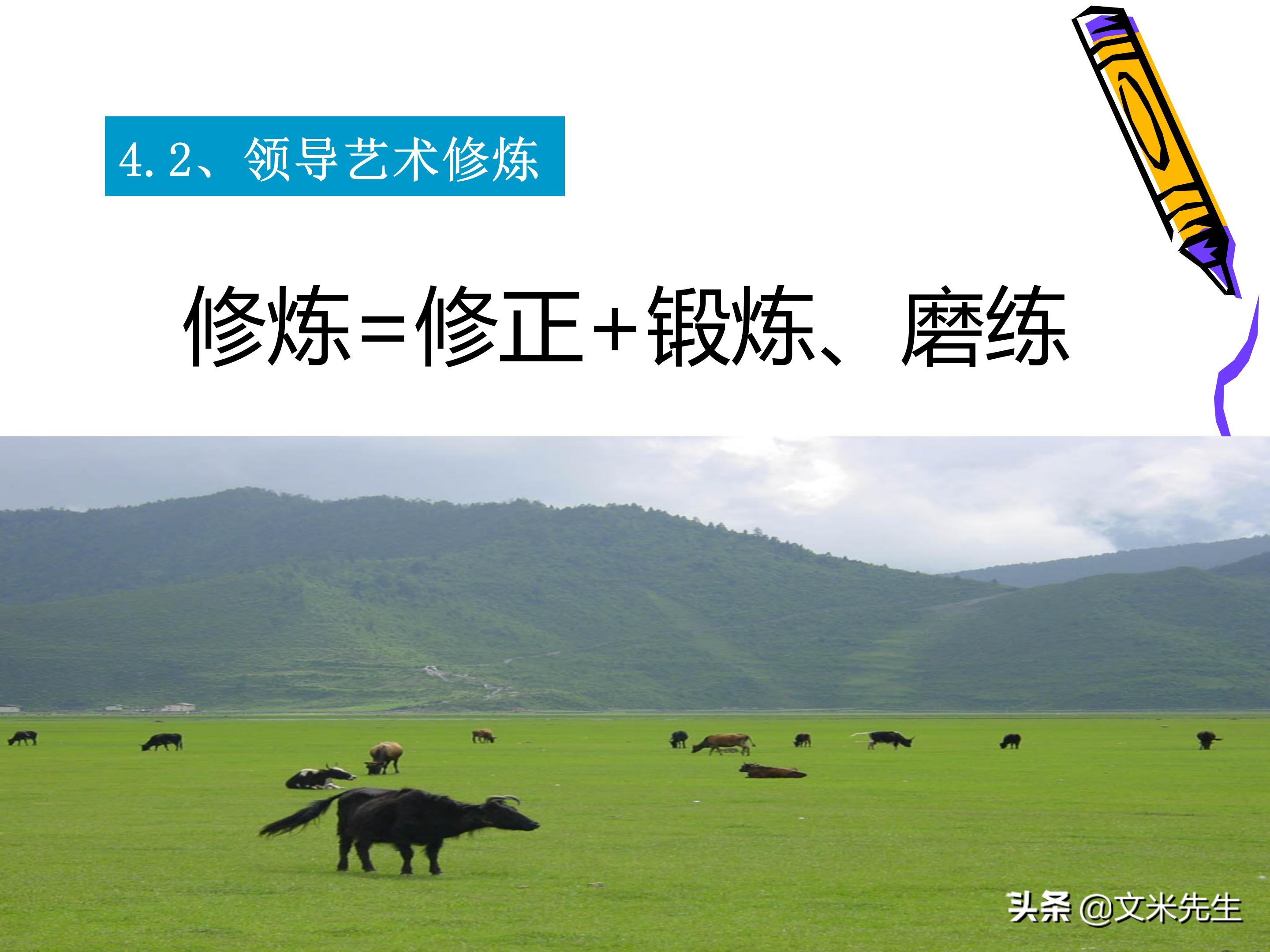 团队管理和领导力教程,团队管理者成长技巧