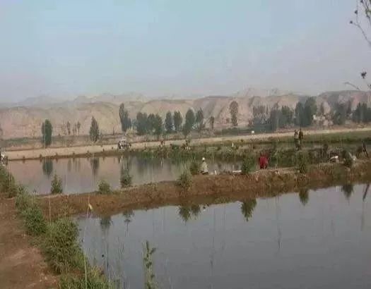 农村人致富门路有哪些,农村有什么最好的最快的致富方法