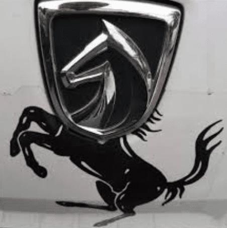 大众车标改成忍者神龟,被车主玩坏的车标中华