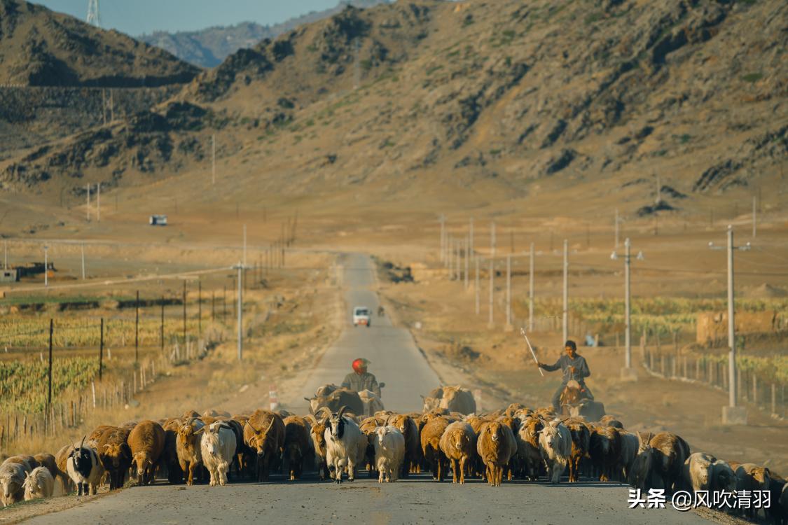 真实新疆人的生活视频,新疆人的生活好精致